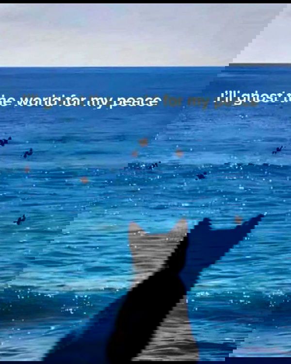 zommmbri image ~ Altpins