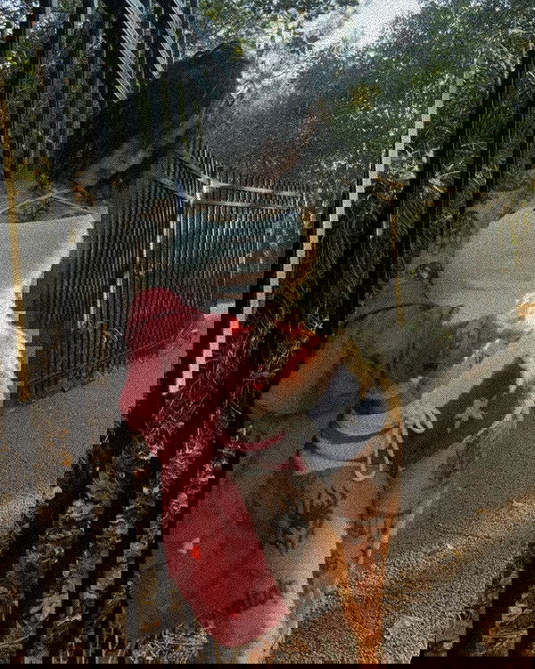 zommmbri image ~ Altpins