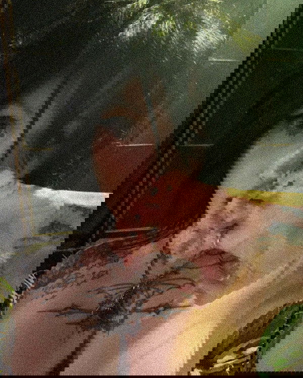 zommmbri image ~ Altpins