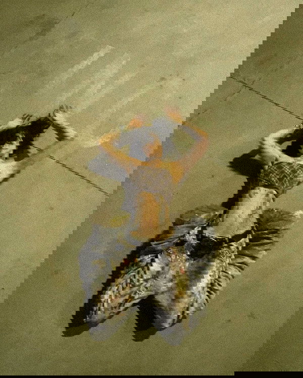 zommmbri image ~ Altpins