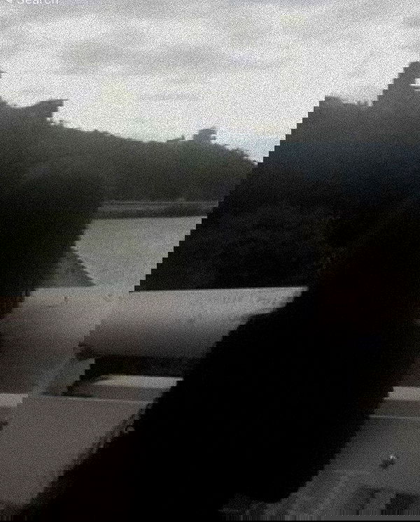 zommmbri image ~ Altpins