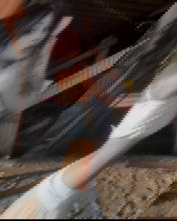 zommmbri image ~ Altpins