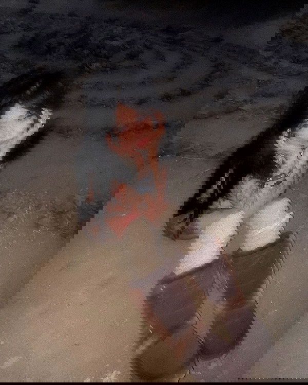 zommmbri image ~ Altpins