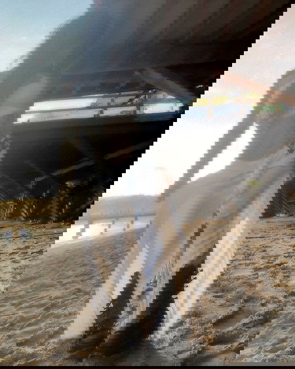 zommmbri image ~ Altpins