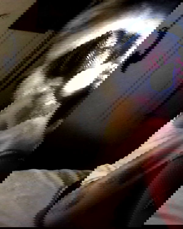 zommmbri image ~ Altpins