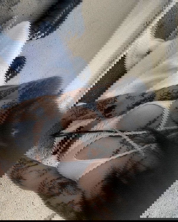 zommmbri image ~ Altpins