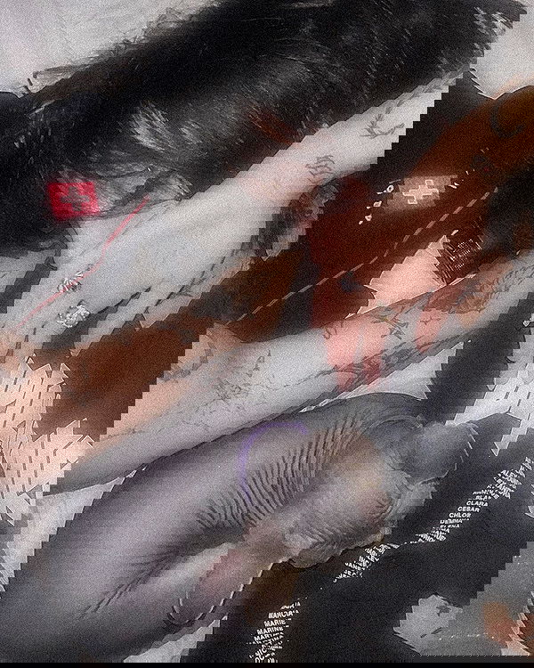 zommmbri image ~ Altpins