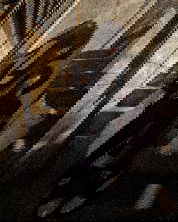 zommmbri image ~ Altpins