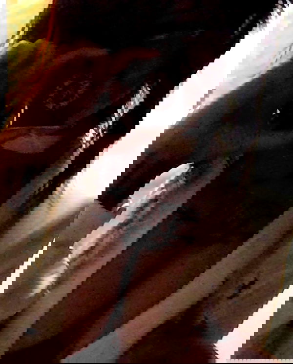 zommmbri image ~ Altpins