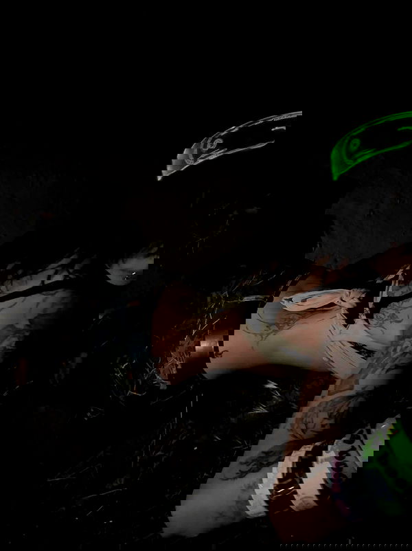 zommmbri image ~ Altpins