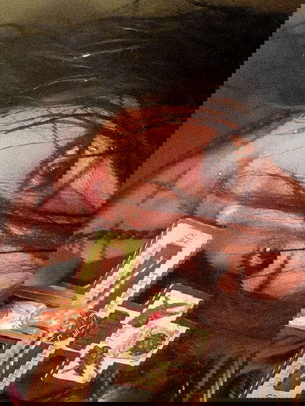 zommmbri image ~ Altpins