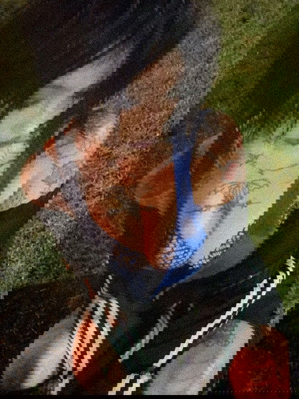 zommmbri image ~ Altpins