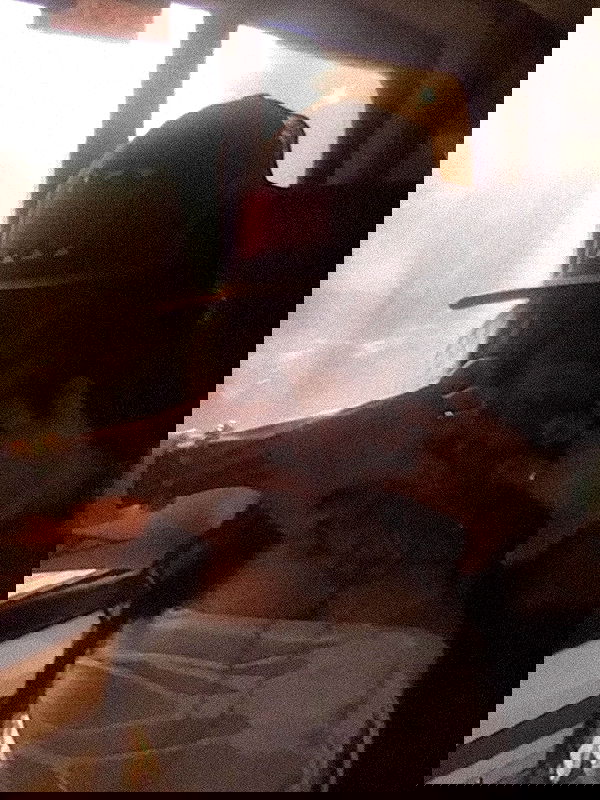 zommmbri image ~ Altpins