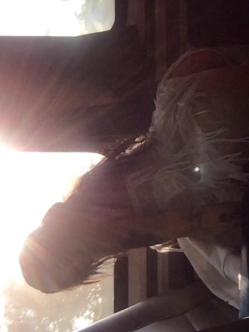 zommmbri instagram image archive image