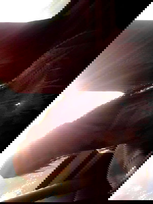 zommmbri image ~ Altpins