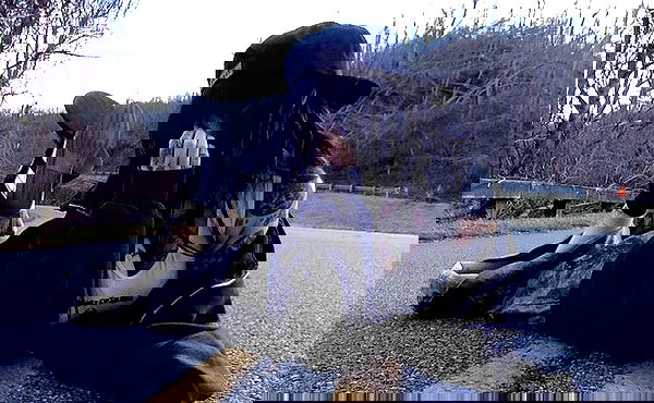 zommmbri image ~ Altpins