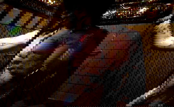 zommmbri image ~ Altpins