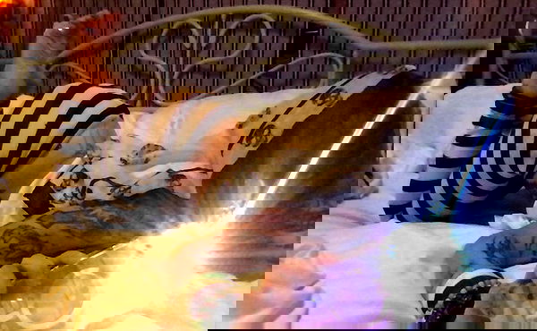 zommmbri image ~ Altpins