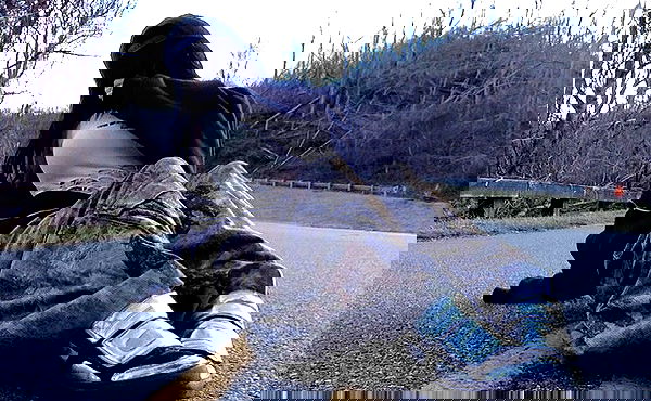 zommmbri image ~ Altpins