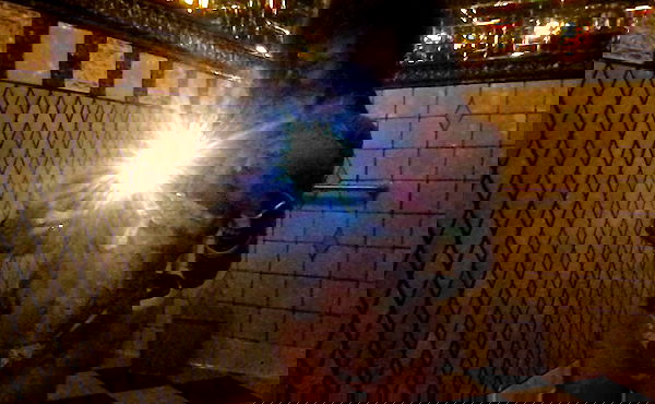 zommmbri image ~ Altpins