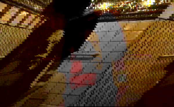 zommmbri image ~ Altpins