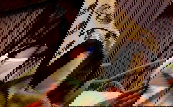 zommmbri image ~ Altpins