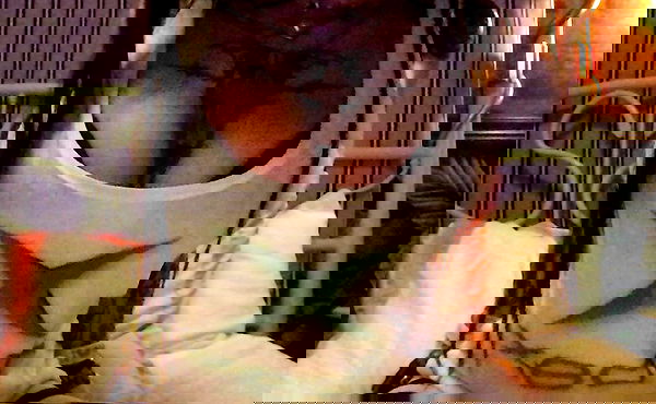 zommmbri image ~ Altpins