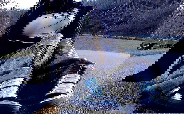 zommmbri image ~ Altpins