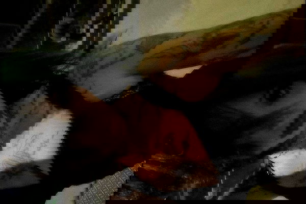 zommmbri image ~ Altpins