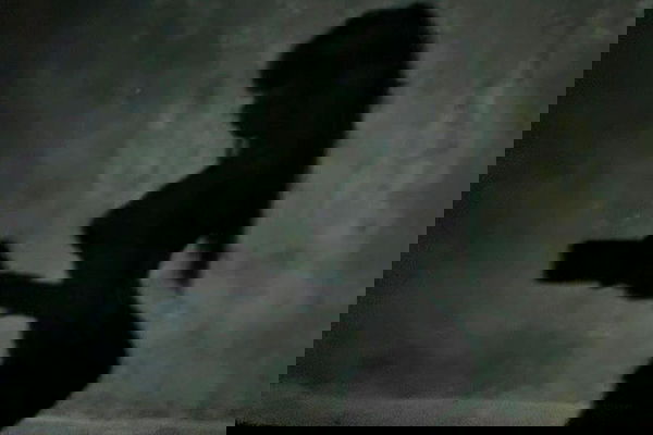 zommmbri image ~ Altpins