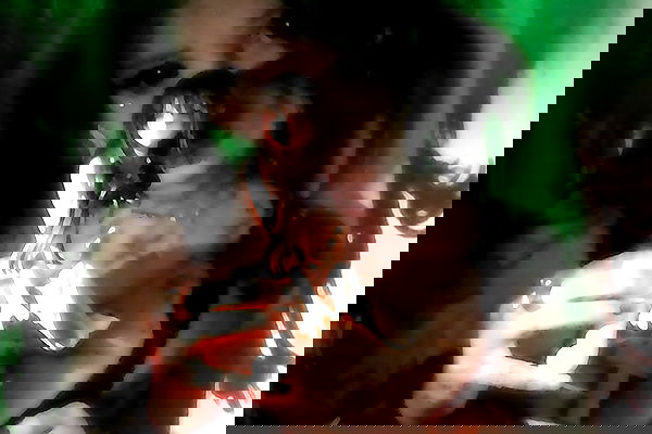 zommmbri image ~ Altpins