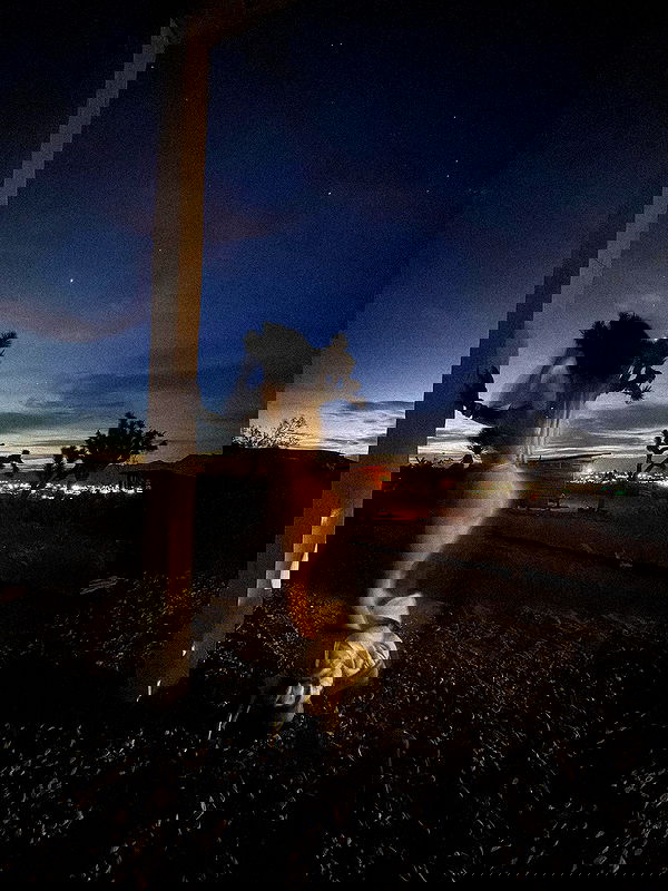 zommmbri image ~ Altpins