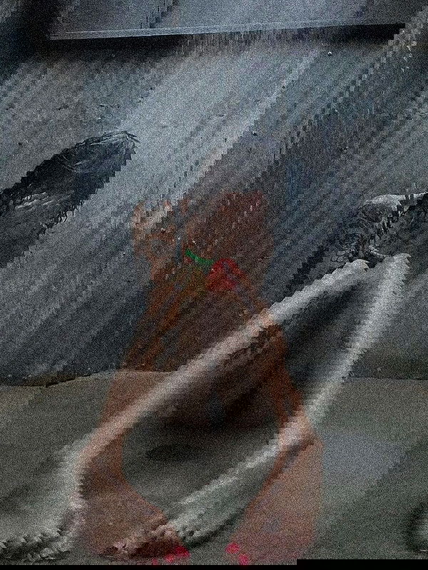 zommmbri image ~ Altpins