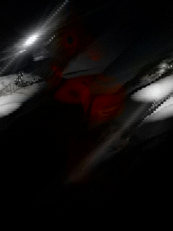 zommmbri image ~ Altpins