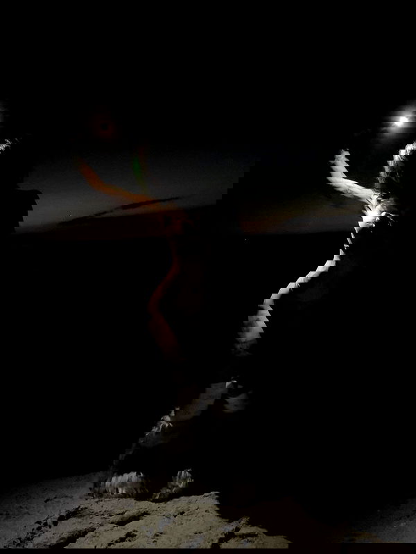 zommmbri image ~ Altpins