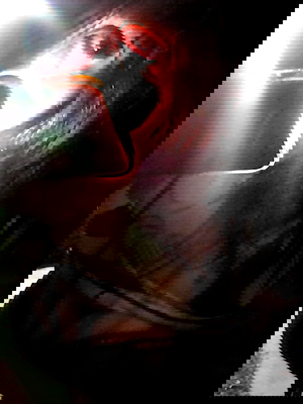 zommmbri image ~ Altpins