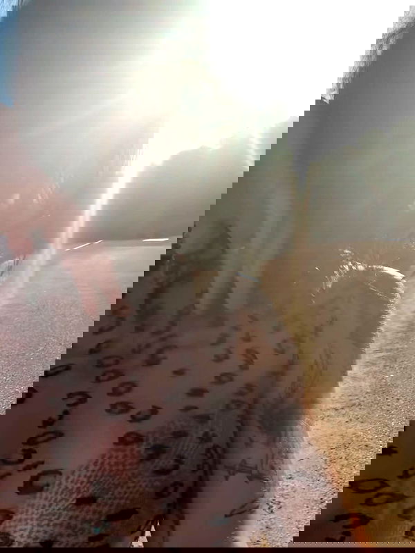 zommmbri image ~ Altpins