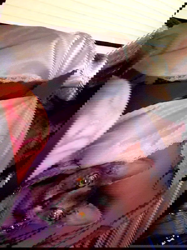 zommmbri image ~ Altpins