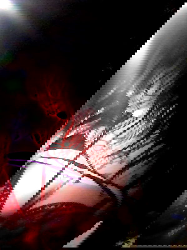 zommmbri image ~ Altpins