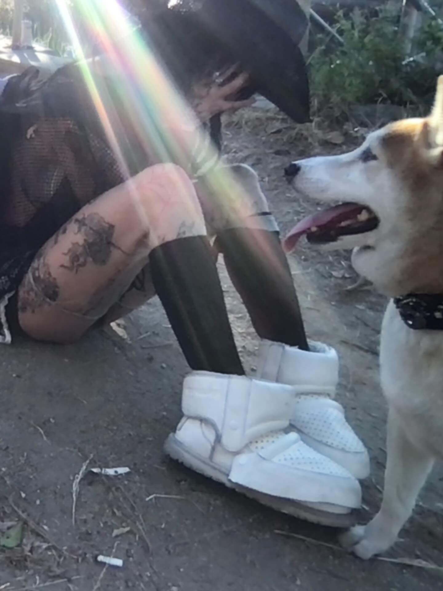 zommmbri instagram image archive image