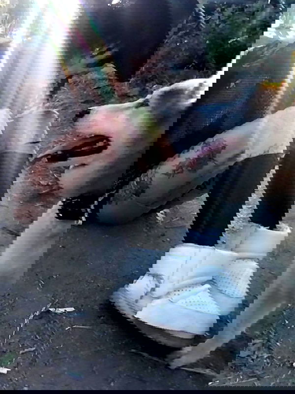 zommmbri image ~ Altpins