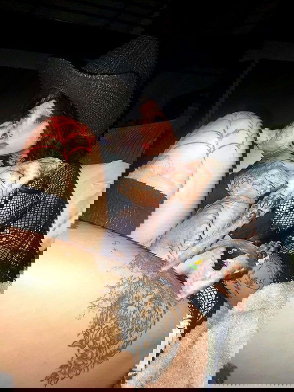 zommmbri image ~ Altpins