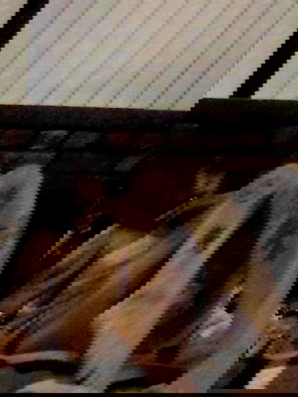 zommmbri image ~ Altpins