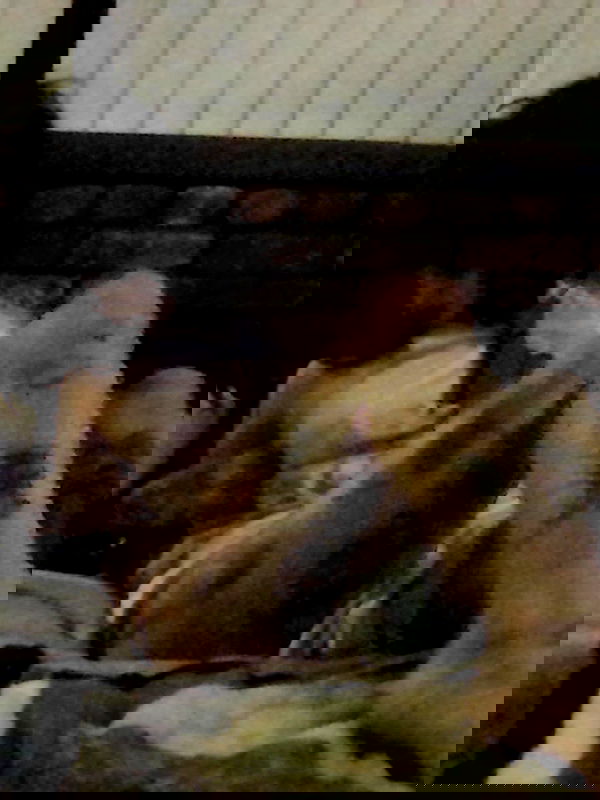 zommmbri image ~ Altpins