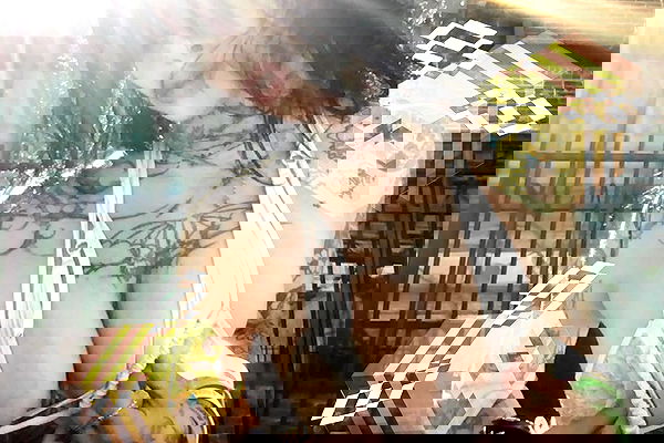 zommmbri image ~ Altpins