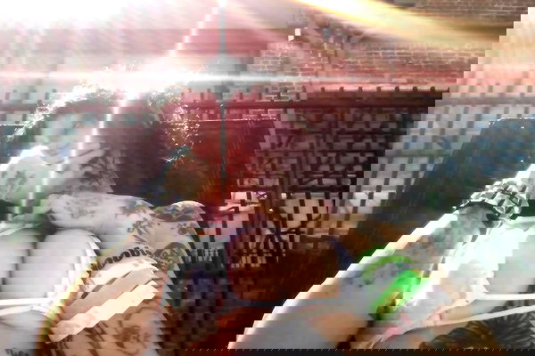 zommmbri image ~ Altpins