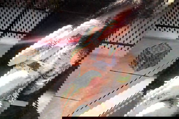 zommmbri image ~ Altpins