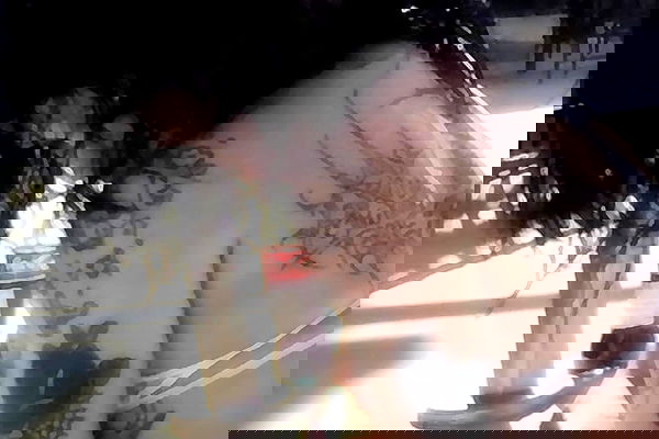 zommmbri image ~ Altpins