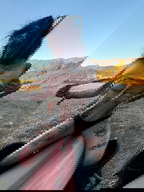 zommmbri image ~ Altpins