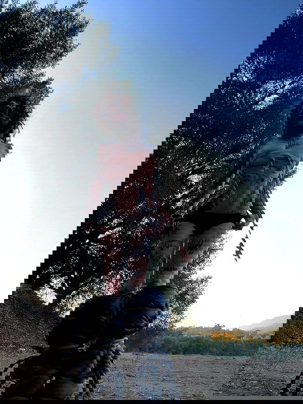 zommmbri image ~ Altpins